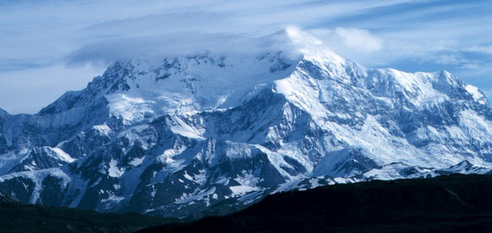 Хотите увидеть «Заказник Врангеля» оформите визу в Америку "Лондонвиза" Заказник Врангеля